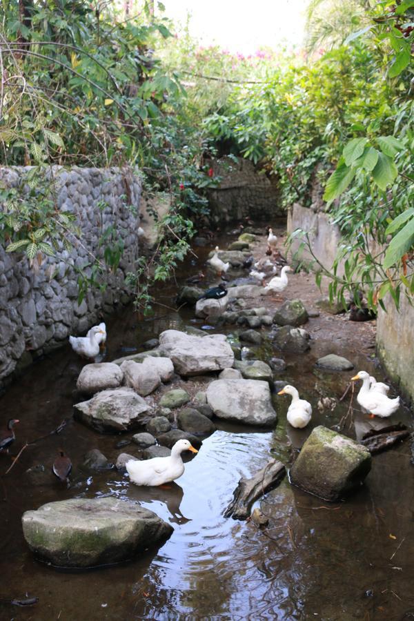 Los Aramos El Valle de Anton Εξωτερικό φωτογραφία